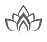 Sqimitive Logo